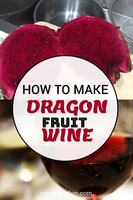 How to Make Red Dragon Fruit Wine (3 Steps)